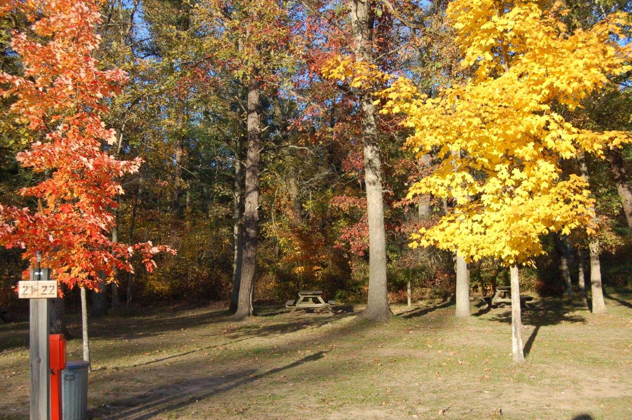1 Pine River camping Manistee River Tippy Dam Cadillac campground Manistee Irons michigan camping rv tent camper.jpg